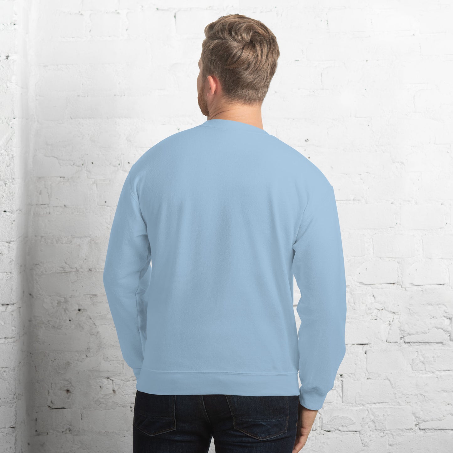 hamcodes unisex-crew-neck-sweatshirt-light-blue