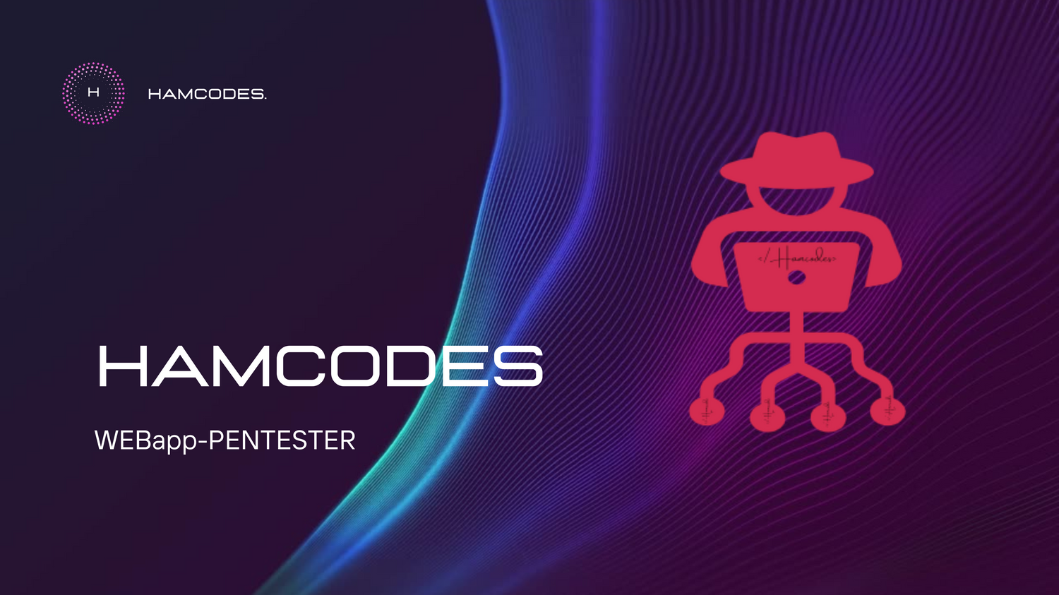 Hamcodes Hacker's Collection featuring a variety of tech tools, software, and educational materials for aspiring programmers and cybersecurity enthusiasts