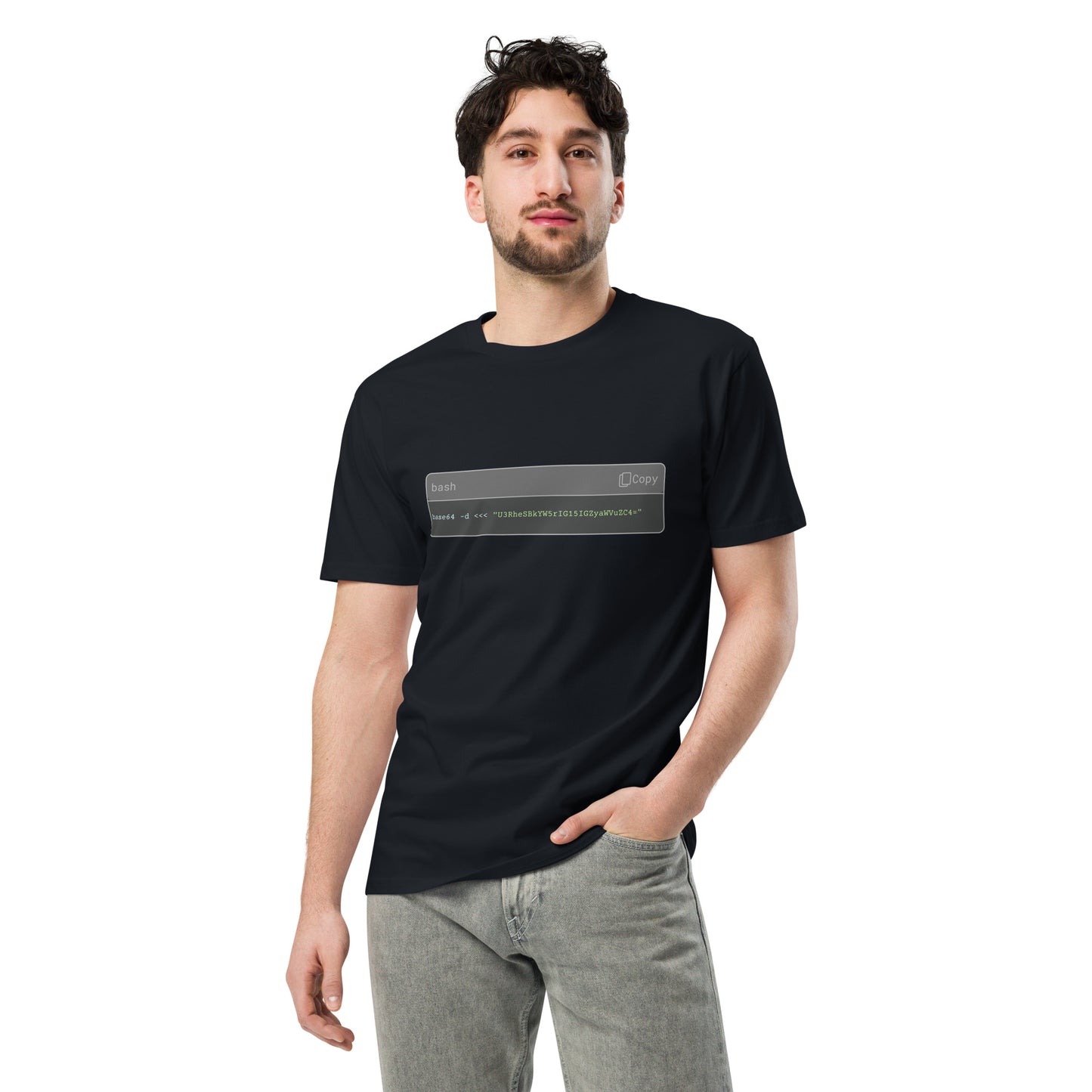 Hamcodes ALL YOUR BASE Tee – Decoded Style. Encoded Message Unisex premium t-shirt